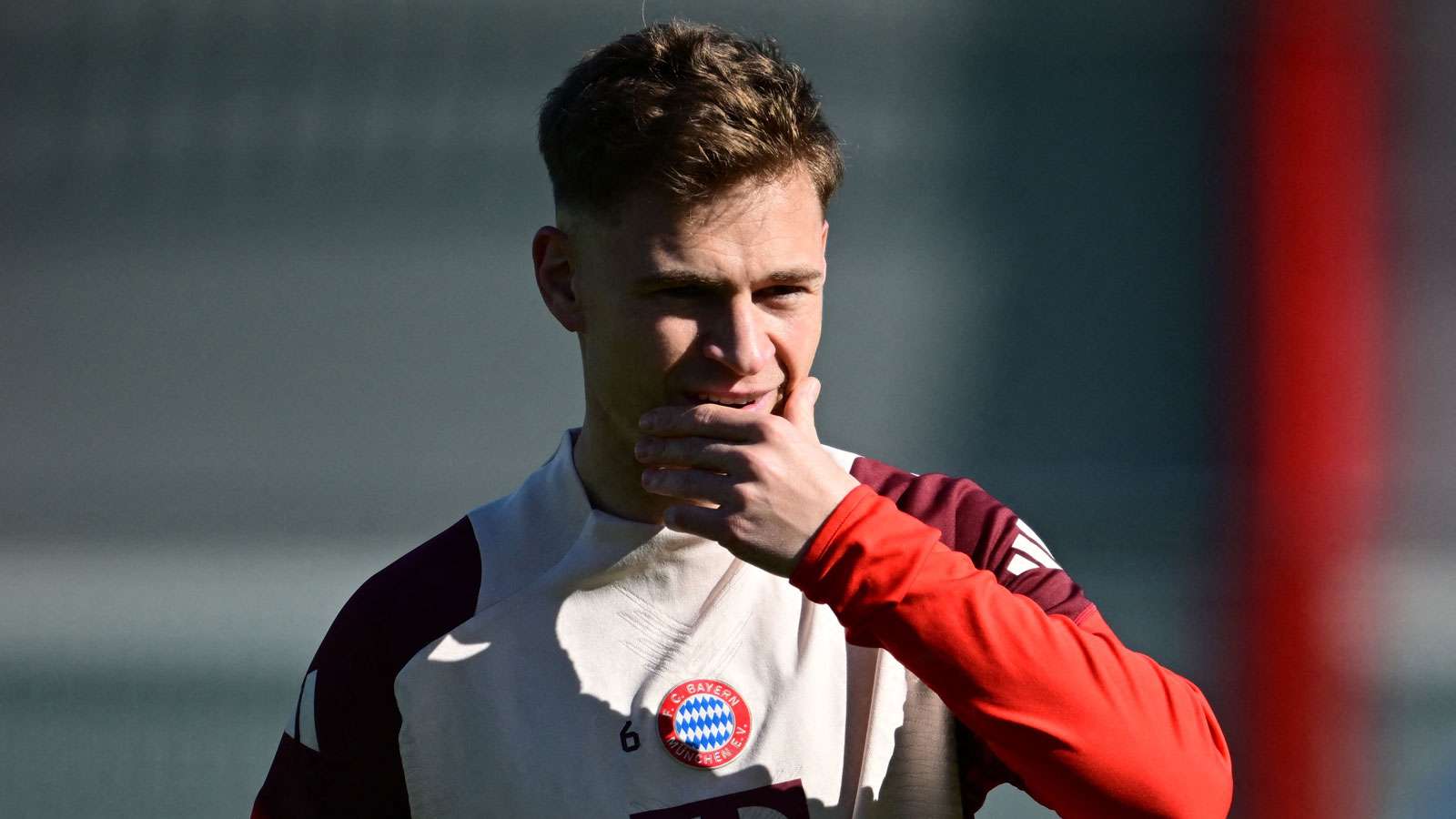 在这篇文章 在这篇文章