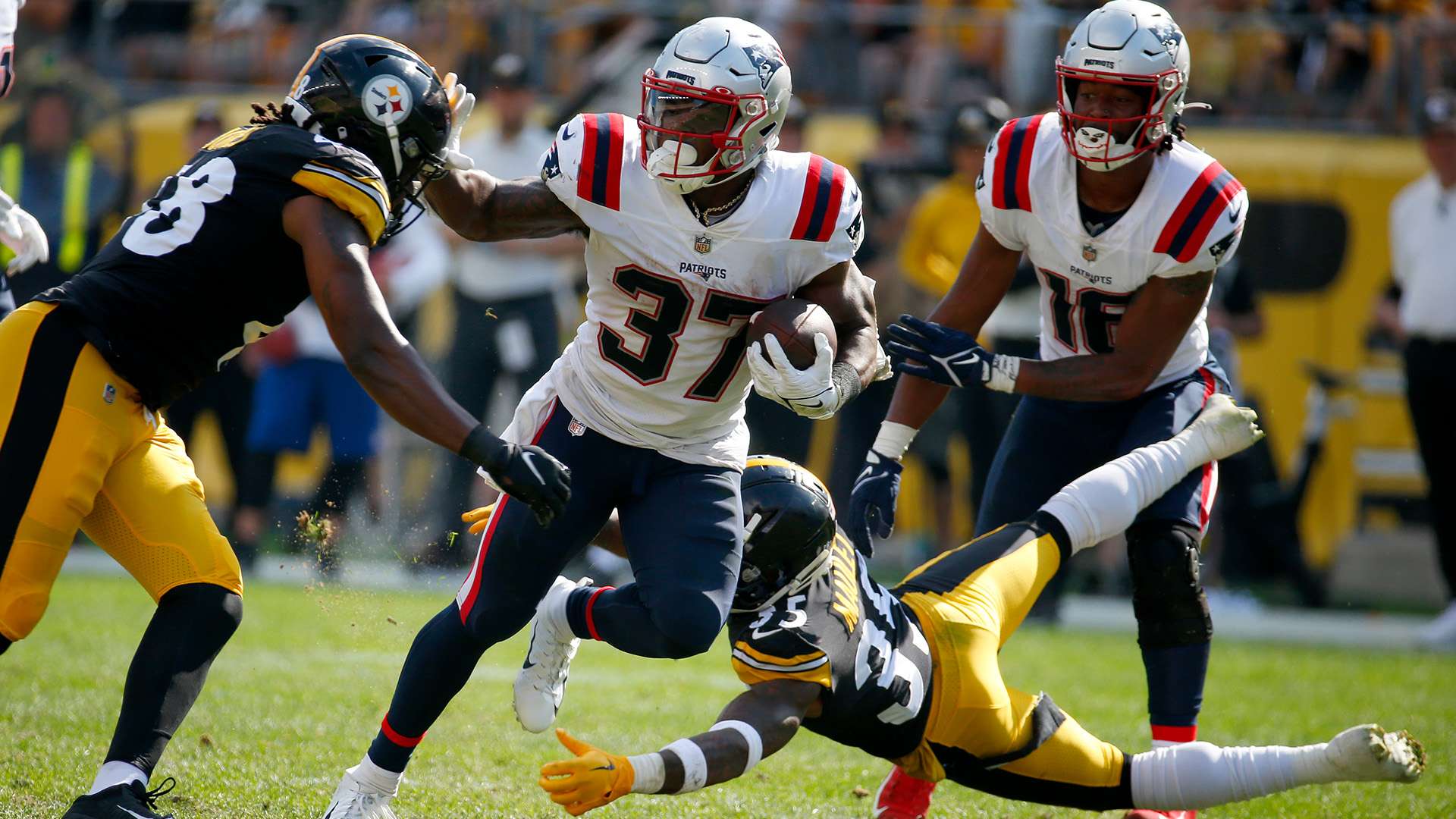 经验成为任 经验成为任